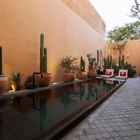 Macondo Arte Oaxaca Exterior foto