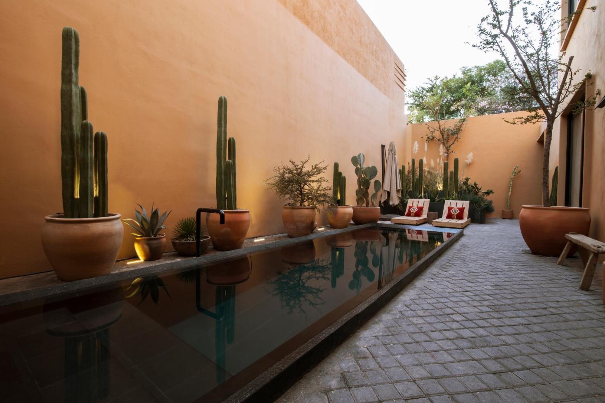Macondo Arte Oaxaca Exterior foto