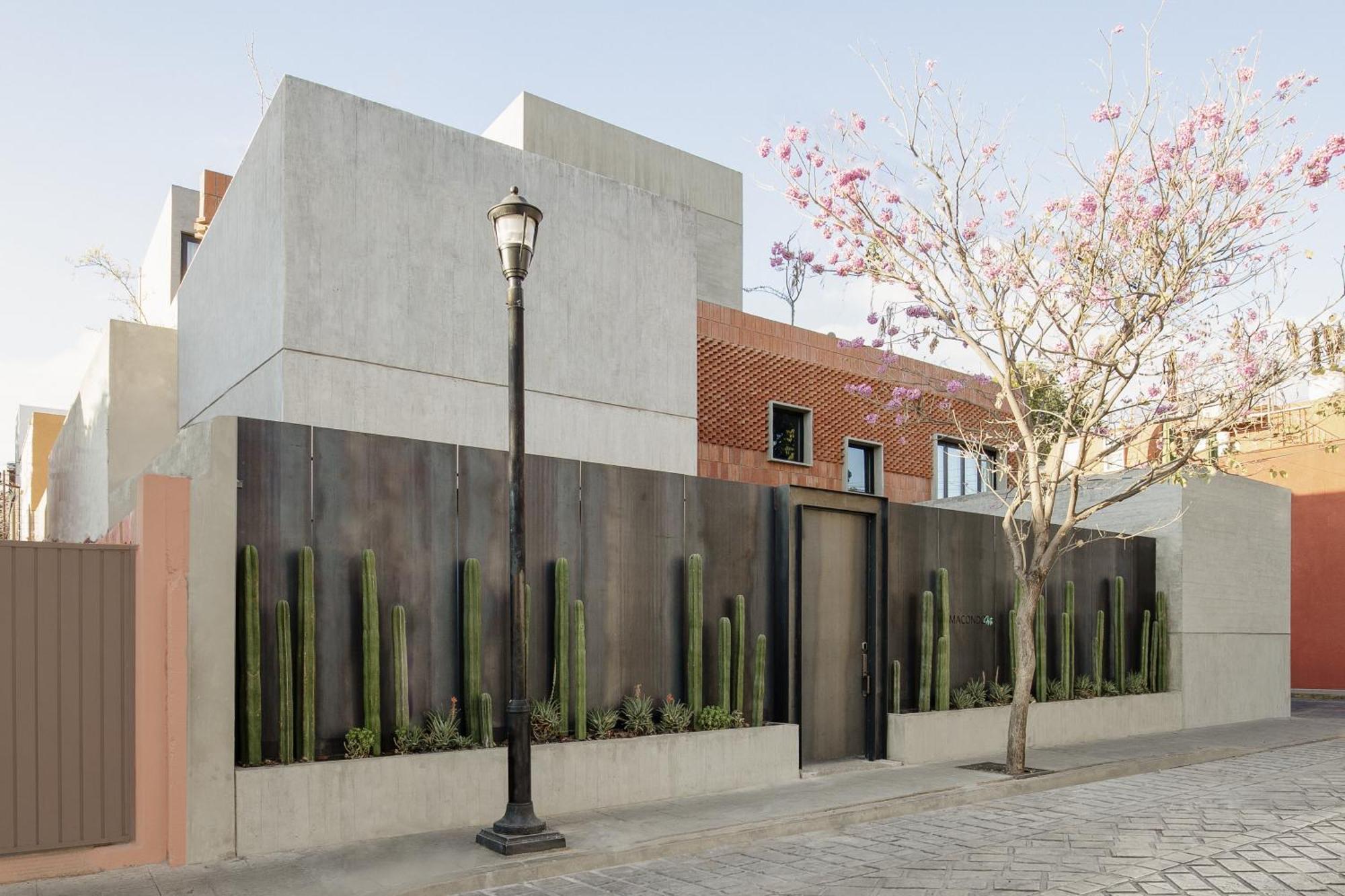 Macondo Arte Oaxaca Exterior foto