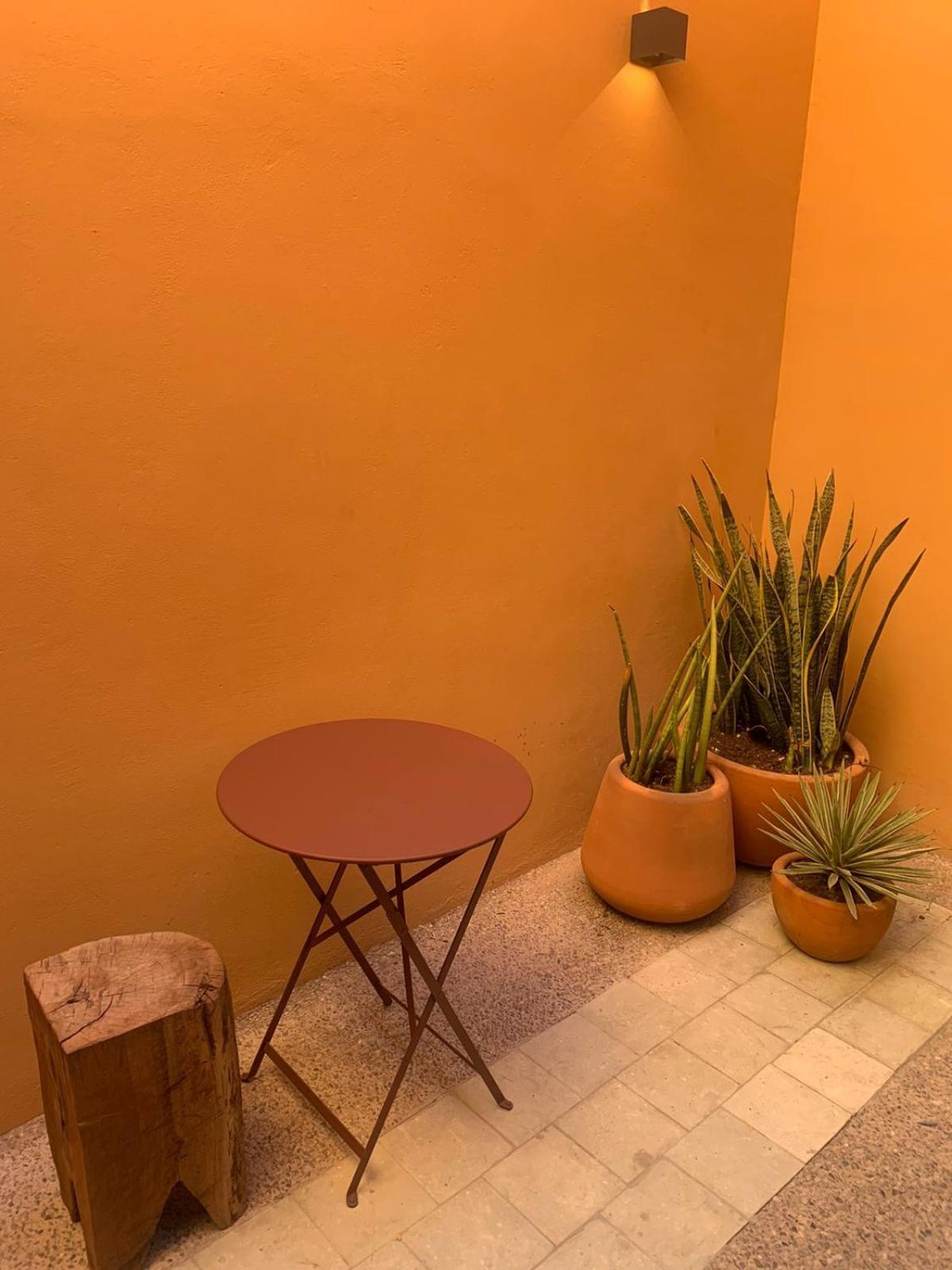 Macondo Arte Oaxaca Exterior foto